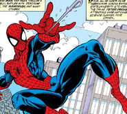 Peter Parker (Earth-616) from Amazing Spider-Man Vol 1 351 001.jpg (189 KB)