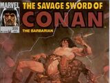 Savage Sword of Conan Vol 1 205