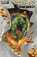 Hulk (Vol. 5) #1 ComicTom101 Exclusive Variant