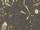 Johnny (Con Ed) (Earth-616) from Longshot Vol 1 3 001.png