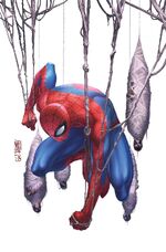 Spidey (Earth-16220)