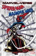 Marvel-Verse: Spider-Man & Madame Web