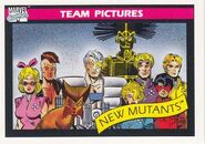 New Mutants (Earth-616) from Marvel Universe Cards Series I 0001