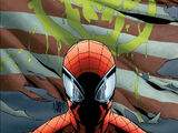 Superior Spider-Man Vol 1 27.NOW