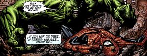 Bruce Banner (Earth-616) and Peter Parker (Earth-616) from Fallen Son The Death of Captain America Vol 1 4 0001