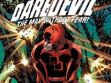 Epic Collection: Daredevil Vol 1 14