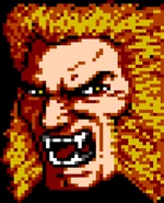 LJN NES games (Earth-90126)