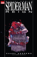 Spider-Man: Reign Vol 1 (2007) 4 issues