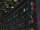 Daily Bugle (Earth-TRN1384)