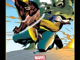 Wolverine Classic Vol 1 3
