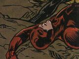 Matthew Murdock (Earth-TRN1121)