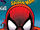 The Spectacular Spider-Man Vol 1 211