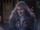Agatha Harkness (Earth-199999)
