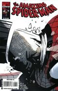 Amazing Spider-Man #575 Family Ties Release Date: December, 2008