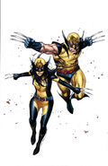 Generations: Wolverine & All-New Wolverine #1 Coipel Variant