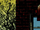 Centennial University from Sensational Spider-Man Vol 1 0 001.png