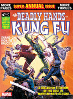 Deadly Hands of Kung Fu Vol 1 15