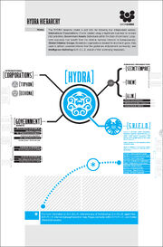 Hydra Hierarchy from Secret Warriors Vol 1 1