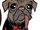 Mary Puppins (Earth-TRN1432)