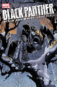 Black Panther Vol 3 53