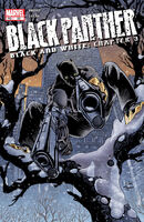 Black Panther (Vol. 3) #53 "Chapter 3: Shadrach in the Furnace" Release date: January 8, 2003 Cover date: March, 2003