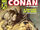 Savage Sword of Conan Vol 1 40