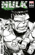 Hulk (Vol. 5) #3 Headshot Sketch Variant