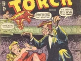 Human Torch Vol 1 29