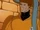 Scott Summers (Earth-961116) from X-Men The Animated Series Season 5 10 0001.jpg