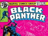 Black Panther Vol 1 13