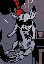 Cuddlebun (Earth-616) from Amazing Spider-Man Vol 2 612 001