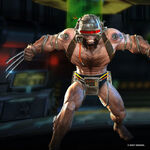 Weapon X (James Howlett) (Weapon X) Contest & Realm of Champions (Earth-517)