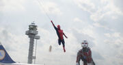 アベンジャーズの崩壊に身を投じるスパイダーマン