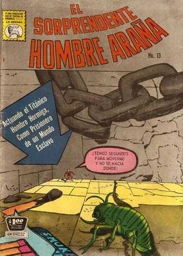 Amazing Spider-Man (MX) Vol 1 13