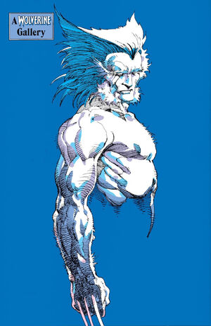 Wolverine Vol 2 4 Back.jpg