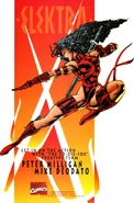Promo for Elektra Vol 2