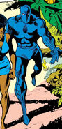 T'Challa (Earth-616) from Jungle Action Vol 2 8 0001