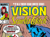 Vision and the Scarlet Witch Vol 2 2