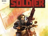 Winter Soldier Vol 2
