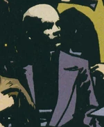 Professor's Secret Service (Earth-1003)