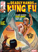 Deadly Hands of Kung Fu Vol 1 20