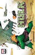 Hulk (Vol. 5) #11 Johnson Variant