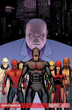 Daredevil: Shadowland Omnibus Vol 1 1 | Marvel Database | Fandom