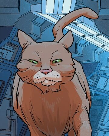 doctor shapiro earth 616 marvel