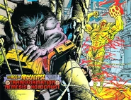 The Transformation of Nemesis into Holocaust by Jerry Bingham & Marie Javins