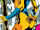 Jean Grey (Earth-TRN566)