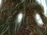 Theodore Sallis (Earth-5560)