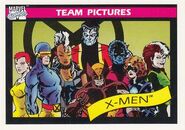 X-Men (Earth-616) from Marvel Universe Cards Series I 0002