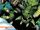 Nick Fury vs. Fin Fang Foom Vol 1 1.jpg
