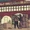 Hunts Point Cooperative Market